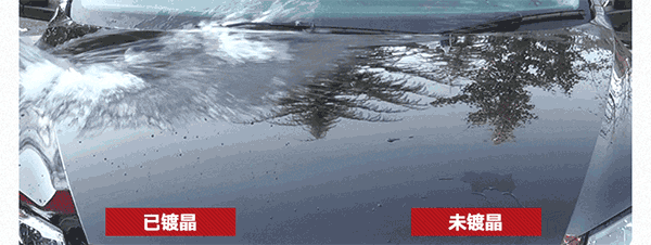 640.gif